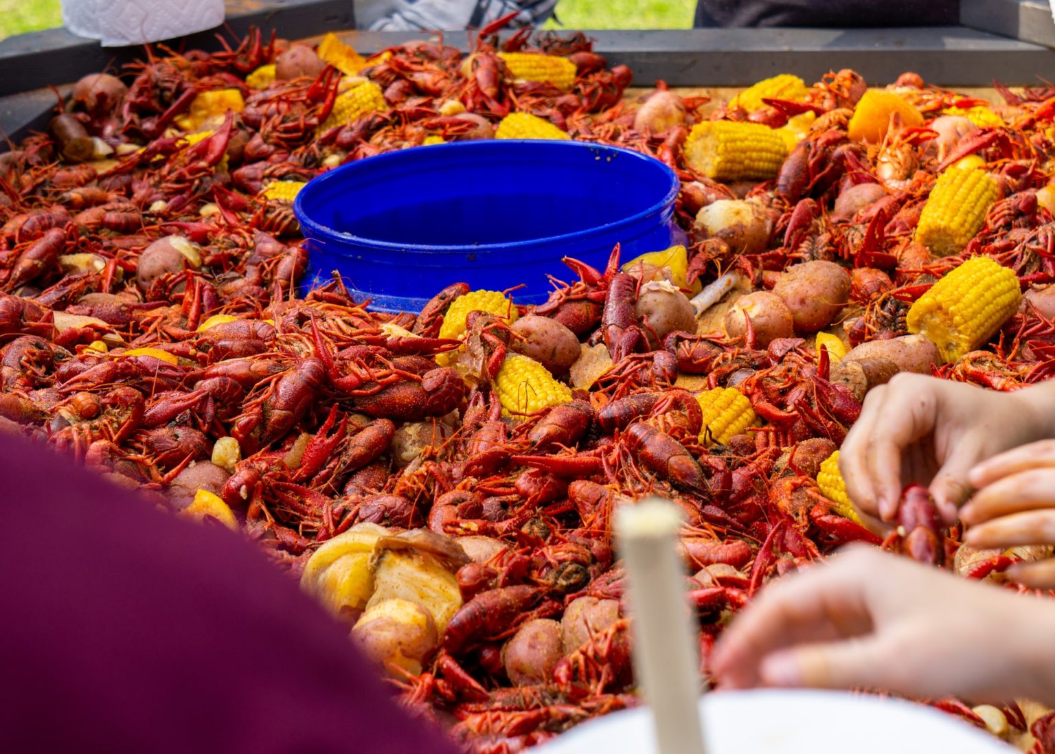 How do you measure crawfish per person? Protocol Online